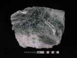 中文名:透閃石片岩(NMNS002344-P005561)英文名:Tremolite schist(NMNS002344-P005561)