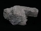 中文名:透閃石片岩(NMNS002344-P005568)英文名:Tremolite schist(NMNS002344-P005568)