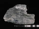 中文名:透閃石片岩(NMNS002344-P005568)英文名:Tremolite schist(NMNS002344-P005568)