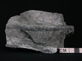 中文名:透閃石片岩(NMNS002344-P005575)英文名:Tremolite schist(NMNS002344-P005575)