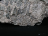 中文名:透閃石片岩(NMNS002344-P005581)英文名:Tremolite schist(NMNS002344-P005581)