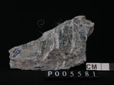 中文名:透閃石片岩(NMNS002344-P005581)英文名:Tremolite schist(NMNS002344-P005581)