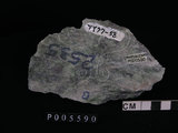 中文名:透閃石片岩(NMNS002344-P005590)英文名:Tremolite schist(NMNS002344-P005590)