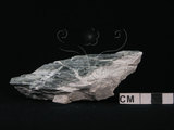 中文名:透閃石片岩(NMNS002344-P005632)英文名:Tremolite schist(NMNS002344-P005632)