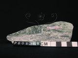 中文名:透閃石片岩(NMNS004105-P008368)英文名:Tremolite schist(NMNS004105-P008368)