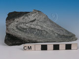 中文名:綠色片岩(NMNS005034-012273)英文名:Green schist(NMNS005034-012273)