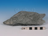 中文名:綠色片岩(NMNS005034-012274)英文名:Green schist(NMNS005034-012274)