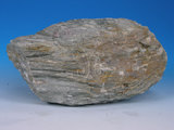 中文名:綠色片岩(NMNS005036-012304)英文名:Green schist(NMNS005036-012304)