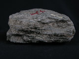 中文名:白雲母-綠泥石片岩(NMNS004176-009076)