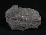 中文名:白雲母-綠泥石片岩(NMNS004176-009076)英文名:Chlorite schist(NMNS004176-009076)