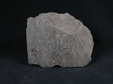 中文名:石英片岩ˋ綠泥石片岩(NMNS004273-009931)英文名:Chlorite schist(NMNS004273-009931)