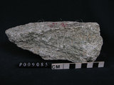 中文名:白雲母-滑石-陽起石片岩(NMNS004176-P009085)英文名:Actinolite Schist(NMNS004176-P009085)