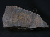 中文名:藍色片岩(NMNS004680-P011313)英文名:Blue schist(NMNS004680-P011313)