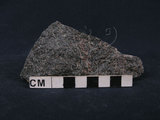 中文名:石榴石藍閃片岩(NMNS003365-P006600)英文名:Garnet-glaucophane schist(NMNS003365-P006600)