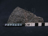 中文名:石榴石藍閃片岩(NMNS003365-P006600)英文名:Garnet-glaucophane schist(NMNS003365-P006600)