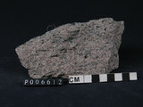 中文名:石榴石藍閃片岩(NMNS003365-P006612)英文名:Garnet-glaucophane schist(NMNS003365-P006612)