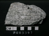 中文名:片麻岩(NMNS000952-P003397)英文名:Gneiss(NMNS000952-P003397)