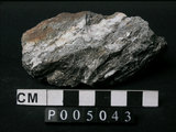 中文名:片麻岩(NMNS002175-P005033)英文名:Gneiss(NMNS002175-P005033)