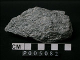 中文名:片麻岩(NMNS002192-P005082)英文名:Gneiss(NMNS002192-P005082)