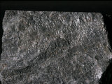 中文名:片麻岩(NMNS002214-P005201)英文名:Gneiss(NMNS002214-P005201)