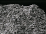 中文名:片麻岩(NMNS002214-P005204)英文名:Gneiss(NMNS002214-P005204)