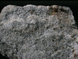 中文名:片麻岩(NMNS002214-P005209)英文名:Gneiss(NMNS002214-P005209)