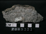 中文名:片麻岩(NMNS002214-P005222)英文名:Gneiss(NMNS002214-P005222)