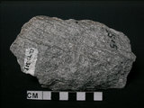 中文名:片麻岩(NMNS002214-P005293)英文名:Gneiss(NMNS002214-P005293)