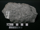 中文名:片麻岩(NMNS002214-P005293)英文名:Gneiss(NMNS002214-P005293)