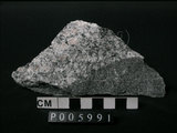 中文名:片麻岩/混合岩(NMNS002992-P005991)英文名:Gneiss/Migmatite(NMNS002992-P005991)