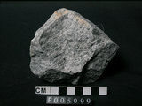 中文名:片麻岩/混合岩(NMNS002992-P005999)英文名:Gneiss/Migmatite(NMNS002992-P005999)