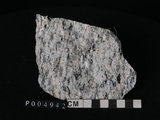 中文名:花岡片麻岩(NMNS002847-P004942)英文名:Granite gneiss(NMNS002847-P004942)