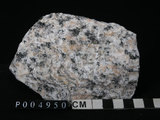 中文名:花岡片麻岩(NMNS002847-P004950)英文名:Granite gneiss(NMNS002847-P004950)