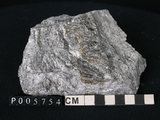 中文名:花岡片麻岩(NMNS002945-P005754)英文名:Granite gneiss(NMNS002945-P005754)