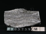 中文名:花岡片麻岩(NMNS002945-P005759)英文名:Granite gneiss(NMNS002945-P005759)