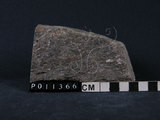 中文名:黑雲母片麻岩(NMNS004680-P011366)英文名:Biotite gneiss(NMNS004680-P011366)