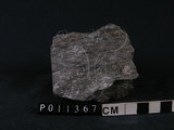 中文名:黑雲母片麻岩(NMNS004680-P011367)英文名:Biotite gneiss(NMNS004680-P011367)