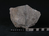 中文名:變質砂岩(NMNS004272-P009835)英文名:Metasandstone(NMNS004272-P009835)