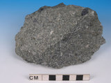 中文名:變質礫岩(NMNS005034-P012270)英文名:Metaconglomerate(NMNS005034-P012270)