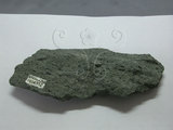 中文名:變質安山岩(NMNS002788-P004852)英文名:Meta andesite(NMNS002788-P004852)