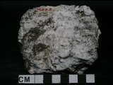 中文名:石英岩(NMNS000005-P000049)英文名:Quartzite(NMNS000005-P000049)