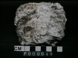 中文名:石英岩(NMNS000005-P000049)英文名:Quartzite(NMNS000005-P000049)