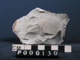 中文名:均密石英質岩(NMNS000009-P000130)英文名:Novaculite(NMNS000009-P000130)