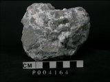 中文名:石英岩(NMNS002147-P004164)英文名:Quartzite(NMNS002147-P004164)