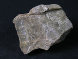 中文名:石英岩(NMNS004661-P011154)英文名:Quartzite(NMNS004661-P011154)