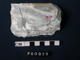 中文名:大理岩(NMNS000005-P000059)英文名:Marble(NMNS000005-P000059)