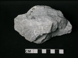 中文名:大理岩(NMNS002214-P005282)英文名:Marble(NMNS002214-P005282)