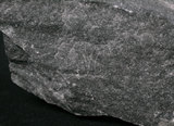 中文名:大理岩(NMNS002214-P005407)英文名:Marble(NMNS002214-P005407)