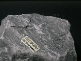 中文名:大理岩(NMNS004105-P008072)英文名:Marble(NMNS004105-P008072)