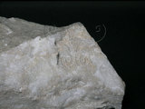 中文名:大理岩(NMNS004105-P008198)英文名:Marble(NMNS004105-P008198)